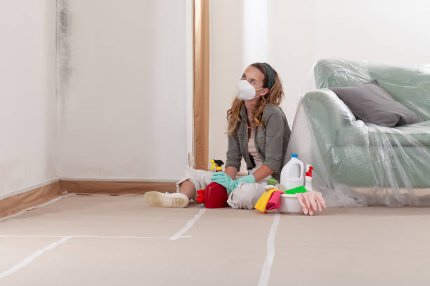 Reliable Mold Testing contractor in Islip, NY by WQB Mold Removal